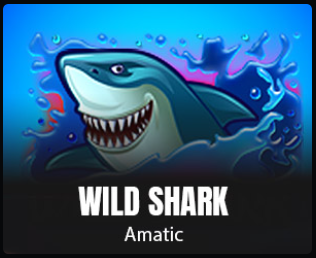 Wild shark 31bet